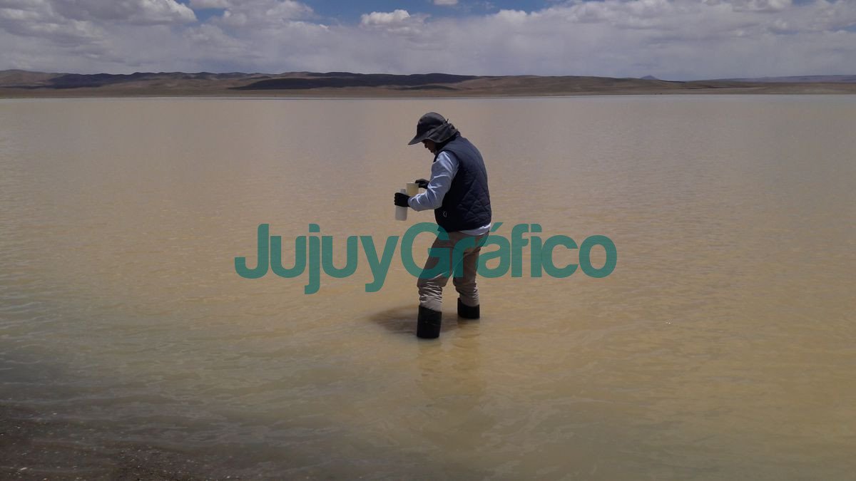 Monitoreo ambiental en empresas para garantizar una mineria sustentable 2