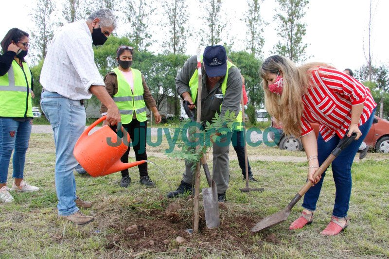 Plantacion de arboles en la plaza Carlos Flaco Muro