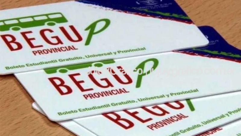 ¿Cómo solicitar el BEGUP? 1 BEGUP 1