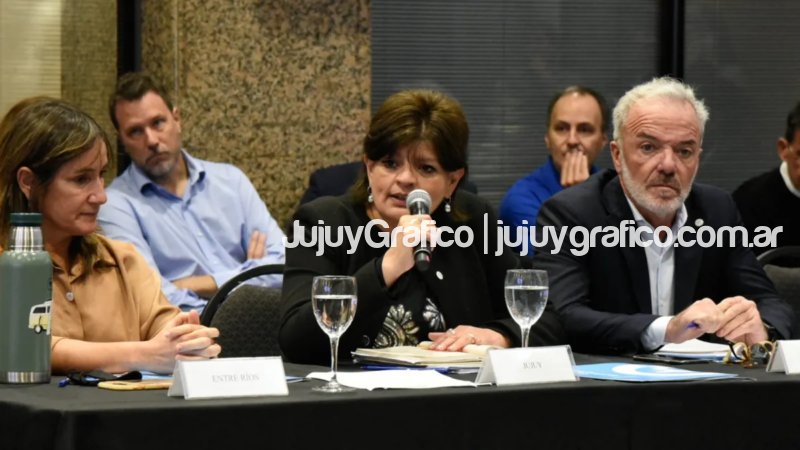 Bosques, humedales e incendios forestales en la agenda del COFEMA 2 Bosques humedales e incendios forestales en la agenda del COFEMA 3