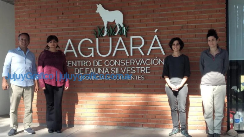 Convenio de colaboración para la recuperación fauna nativa 5 Convenio de colaboracion para la recuperacion fauna nativa 2