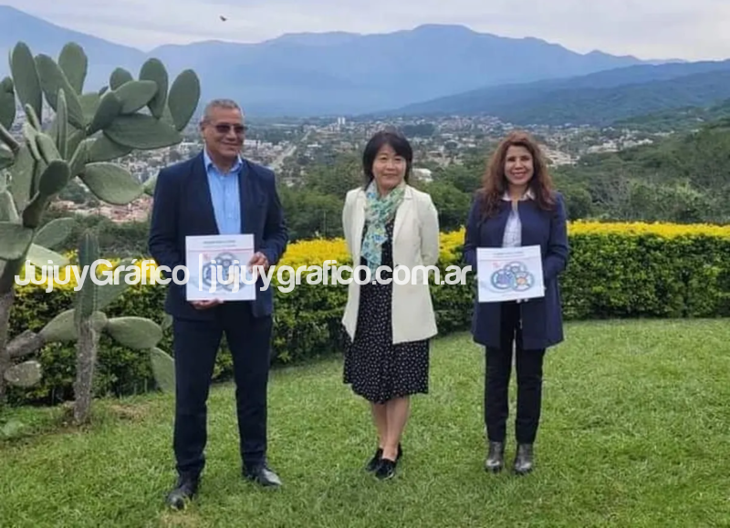 Organizacion Internacional del Trabajo en Jujuy