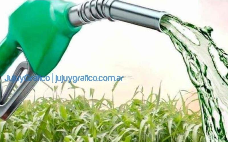 Jujuy impulsa debate por el incremento del corte de bioetanol 11 bioetanol