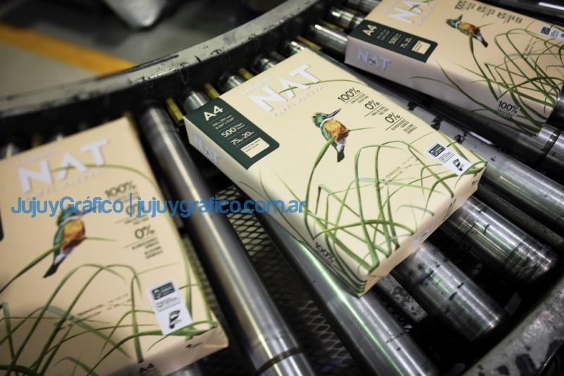 Ledesma aumenta la producción y exportación de su papel natural 2 Ledesma aumenta la produccion y exportacion de su papel natural 2