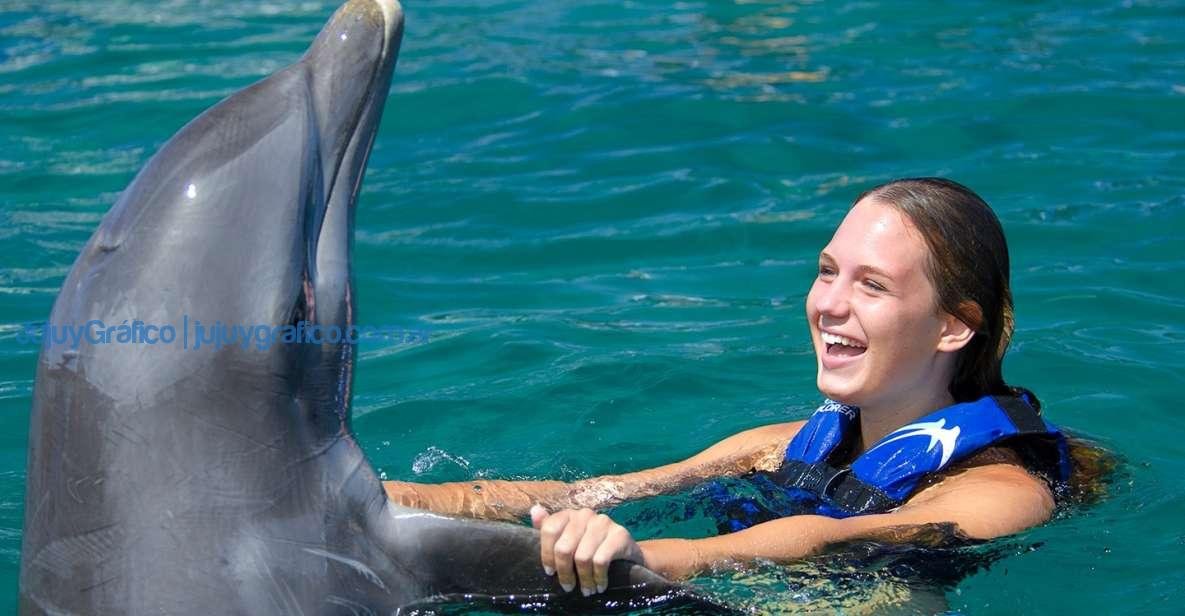 nadar con delfines a Punta Cana