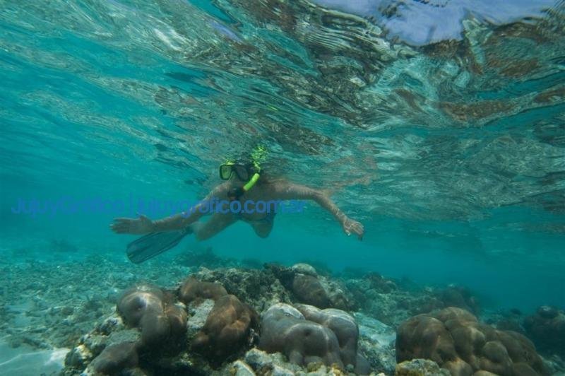 Vacaciones para la aventura en Punta Cana nadando con delfines 4 snorkel en Punta Cana