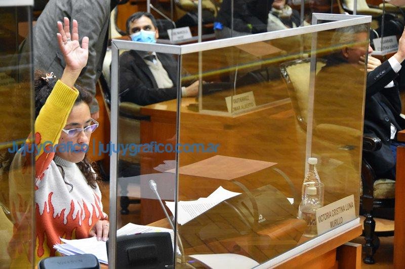La Legislatura aprobo la creacion de la Defensoria del Nino 1