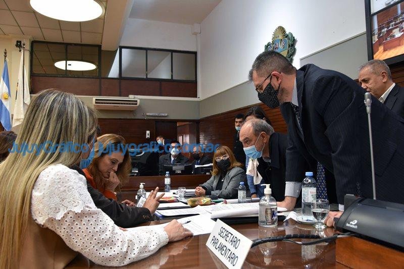 La Legislatura aprobo la creacion de la Defensoria del Nino 6