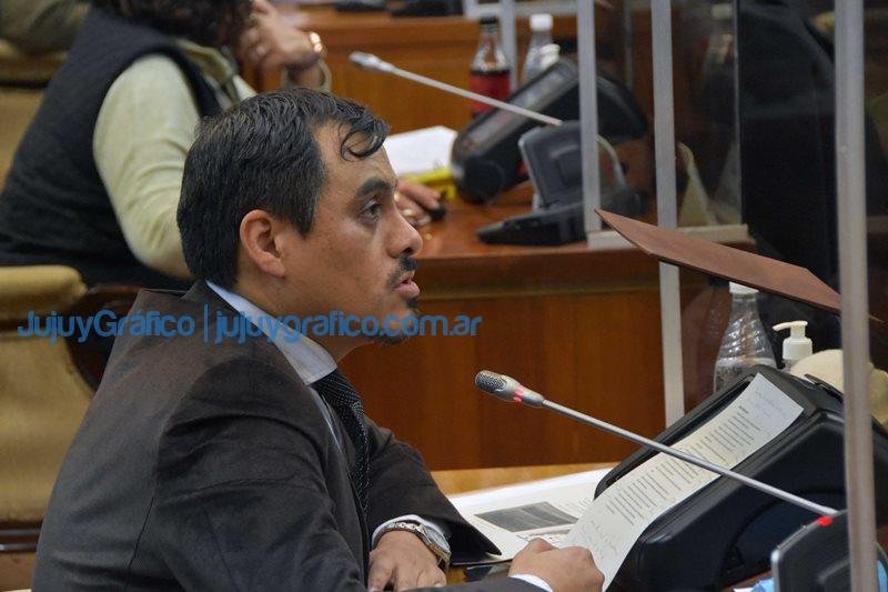 La Legislatura aprobo la creacion de la Defensoria del Nino 8
