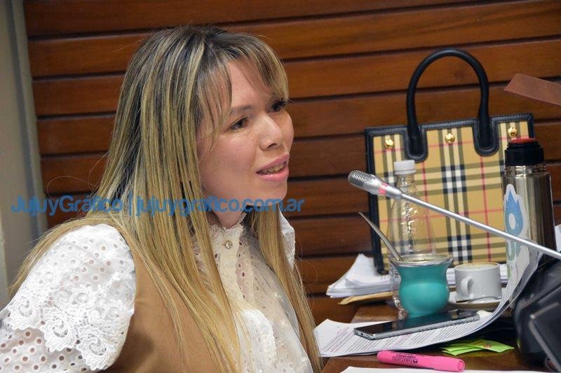 La Legislatura aprobo la creacion de la Defensoria del Nino 9