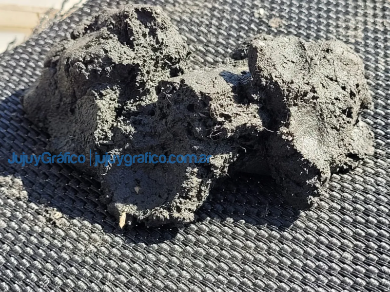 Remocion y tratamiento de lodo en lagunas de El Pongo 1