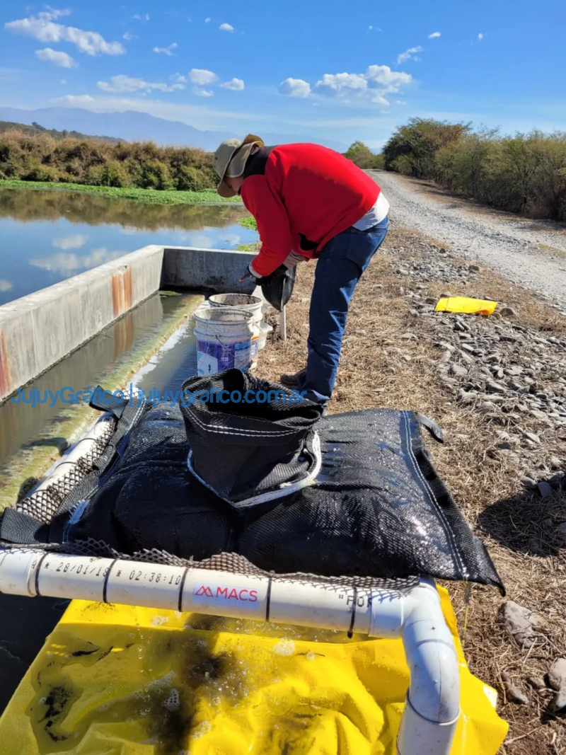 Remocion y tratamiento de lodo en lagunas de El Pongo 3