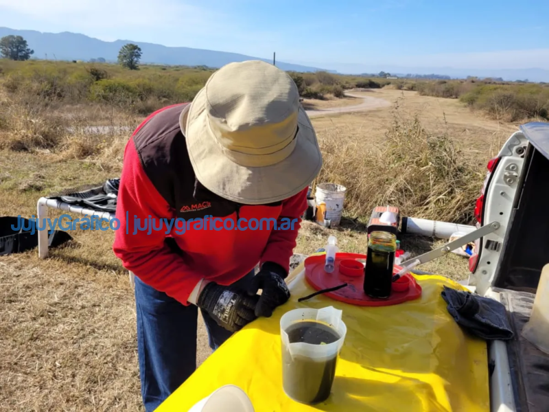Remocion y tratamiento de lodo en lagunas de El Pongo 5