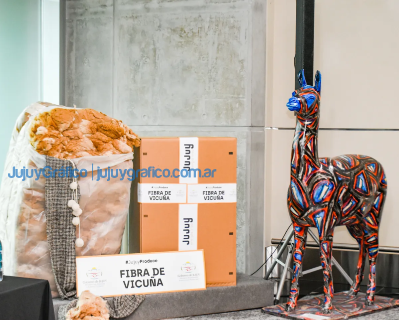 Se despachó el primer embarque de fibra de vicuña a Italia 21 Se despacho el primer embarque de fibra de vicuna a Italia 1
