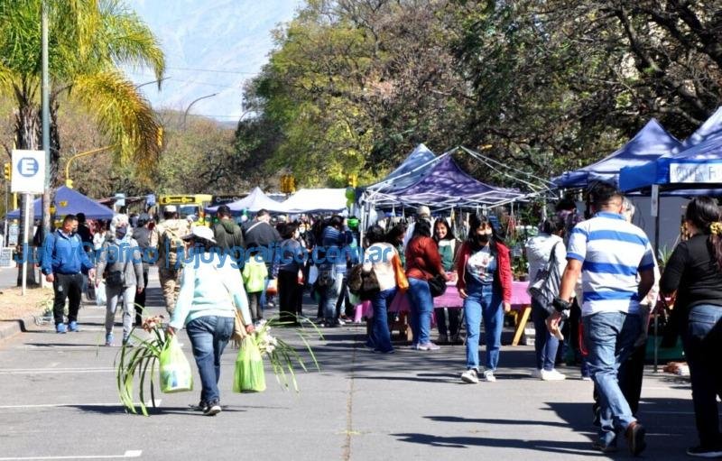 APPOJUY celebro 12 anos en el Paseo de las Plantas 4