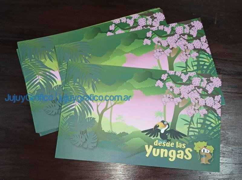 Ledesma y ProYungas presentaton la revista #DesdeLasYungas en la Feria del Libro 3 Edicion impresa DesdeLasYungas 1