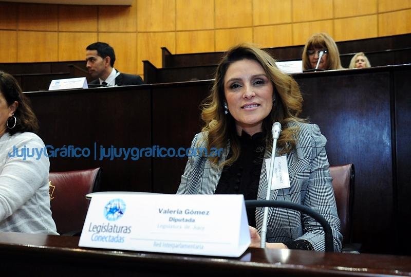 Legisladoras jujeñas en el Encuentro Federal de la Comisión de Cambio Climático 3 Legisladoras jujenas en el Encuentro Federal de la Comision de Cambio Climatico 4