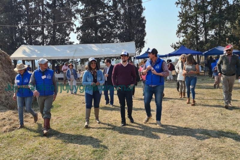 Biotecnología reproductiva de mulares y primer remate público 2 Biotecnologia reproductiva de mulares y primer remate publico 1