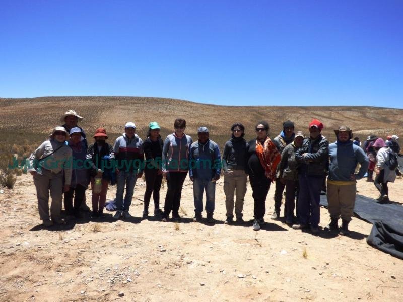 Acompañamiento en el Chaku de El Cóndor de esquila sustentable de vicuñas 15 Acompanamiento en el Chaku de El Condor de esquila sustentable de vicunas 3