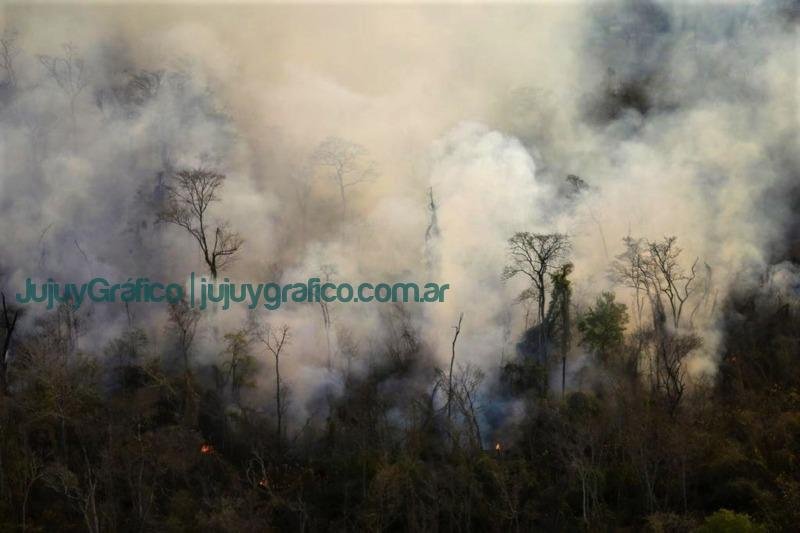 Multaron a personas que causaron incendios forestales 2 Multaron a personas que causaron incendios forestales 1