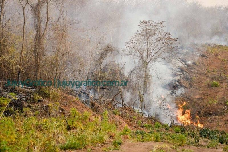 Incendios de Vegetacion en Salta Jujuy asiste y refuerza tareas preventivas sanitarias y en terreno 2