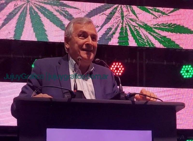 Jujuy protagonista de la Expocannabis 2022 4 Jujuy protagonista de la Expocannabis 2022 2