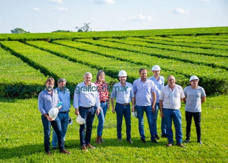 Morales reivindicó la cultura del trabajo y el esfuerzo junto a productores de té 2 Morales reivindico la cultura del trabajo y el esfuerzo junto a productores de te 1