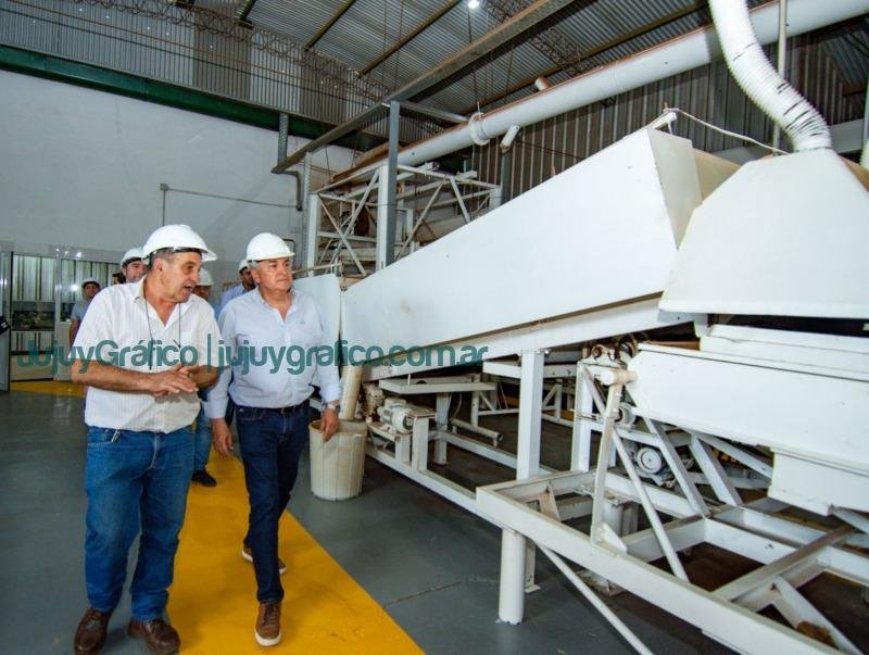 Morales reivindicó la cultura del trabajo y el esfuerzo junto a productores de té 3 Morales reivindico la cultura del trabajo y el esfuerzo junto a productores de te 3