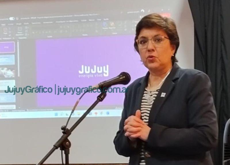 Se presentó Proyecto Integral de Internacionalización "Jujuy al Mundo" 3 Se presento Proyecto Integral de Internacionalizacion Jujuy al Mundo 1
