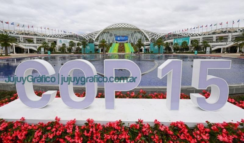 COP 15: Acuerdo histórico a favor de la biodiversidad mundial 10 COP 15 Acuerdo histórico a favor de la biodiversidad mundial