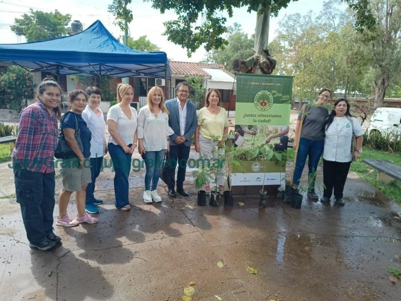 Comenzó una nueva temporada de plantación de árboles 2022/2023 en Libertador 1 Comenzo una nueva temporada de plantacion de arboles en Libertador 1