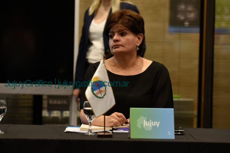 Jujuy en el Consejo Federal de Ambiente 2 Jujuy en el Consejo Federal de Ambiente 1