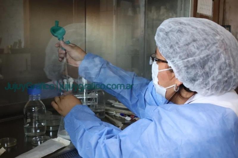 Medidas de cuidado ante la salmonelosis 7 Medidas de cuidado ante la salmonelosis