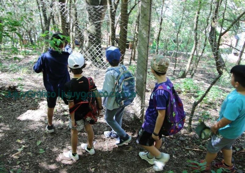 Continúa la propuesta “Yungueritos en vacaciones” del Parque Botánico 8 Continua la propuesta Yungueritos en vacaciones del Parque Botanico 2
