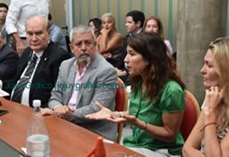Sales de Jujuy presentó su Informe de Sustentabilidad 2022 en la legislatura 5 Sales de Jujuy presento su Informe de Sustentabilidad en la legislatura 3