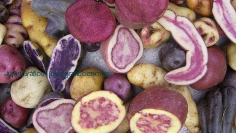 Proyectos científicos de Jujuy recibieron $ 100 millones para el desarrollo de ciencia aplicada 1 Papitas jujenas la cooperativa Cauqueva producira snacks con papas andinas Proyectos científicos de Jujuy recibieron $ 100 millones para el desarrollo de ciencia aplicada