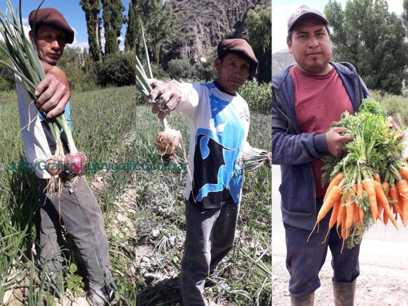 Asistencia técnica a agricultores de El Perchel y Huacalera en la elaboración de fertilizantes sustentable 6 Asistencia tecnica a agricultores de El Perchel y Huacalera en la elaboracion de fertilizantes sustentable 3