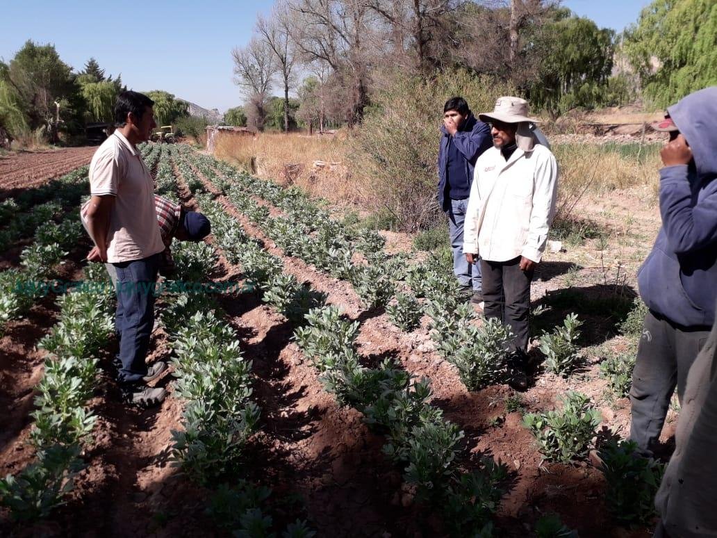 Consumir alimentos agroecológicos y a buen precio hoy es una realidad en Jujuy 4 Consumir alimentos agroecologicos y a buen precio hoy es una realidad en Jujuy 1