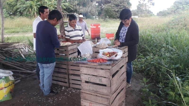 Consumir alimentos agroecológicos y a buen precio hoy es una realidad en Jujuy 2 Consumir alimentos agroecologicos y a buen precio hoy es una realidad en Jujuy 3