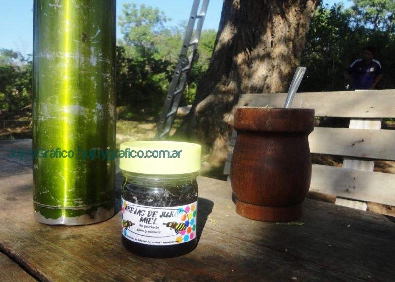 Copia de Miel de Jujuy ApiNor abejas 3