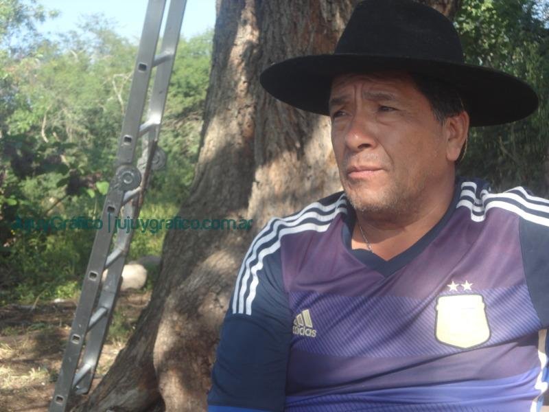 Miel de Jujuy ApiNor abejas 4