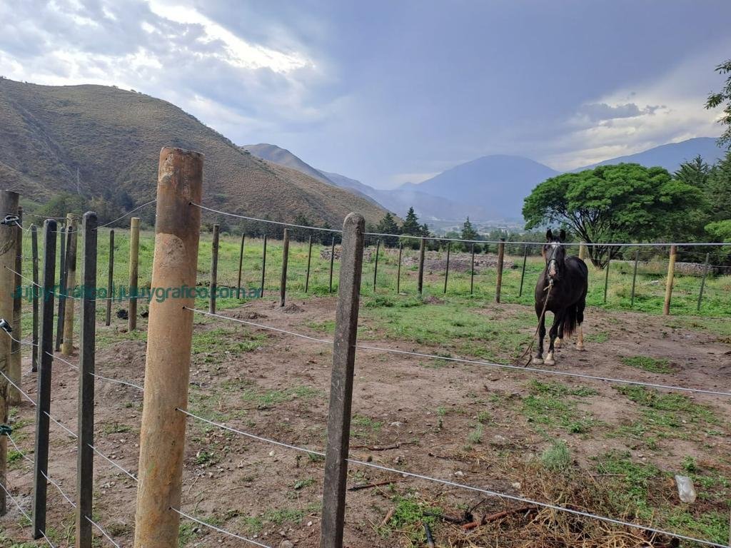 Terramaq recicla más de 700.000 kg anuales de plástico y los convierte en elementos para el campo y bolsas de residuos 5 Terramaq recicla mas de 700.000 kg anuales de plastico y los convierte en elementos para el campo y bolsas de residuos 3