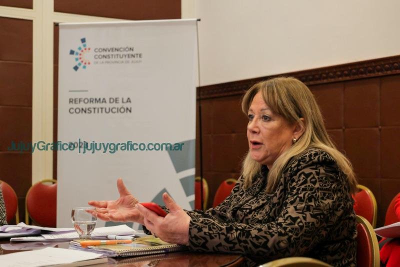 Constituyente: Iniciaron consultas a expertos en infancias y adolescencias 2 Constituyente Iniciaron consultas a expertos en infancias y adolescencias 1