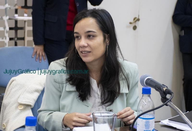 Constituyente La comisión de Régimen Electoral y Régimen Municipal comenzó ronda de consultas 2