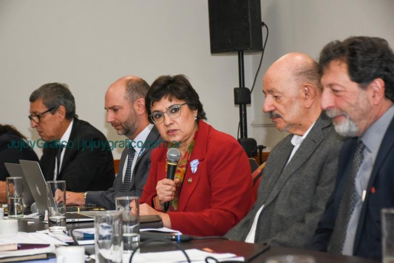 Convención Constituyente Aportes en la comisión de reforma judicial 1