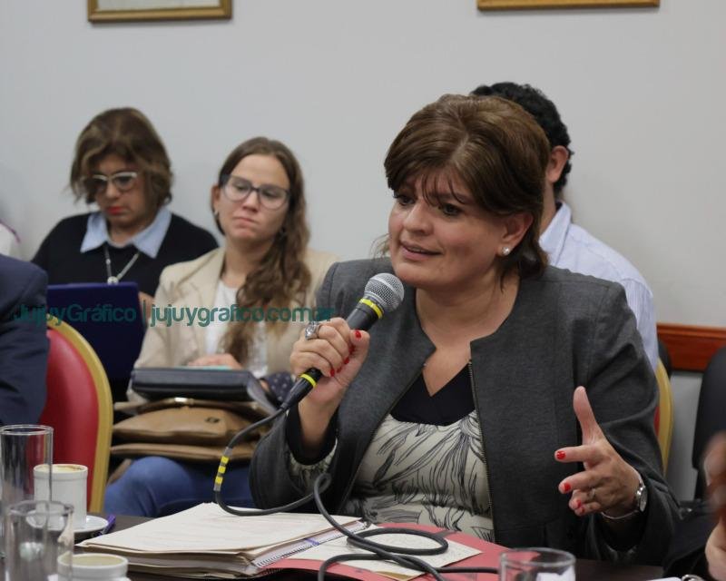 Convención Contituyente: Aportes de expertos del Gobierno y del Colegio de Ingenieros de Jujuy 4 Convención Contituyente Aportes de expertos del Gobierno y del Colegio de Ingenieros de Jujuy 3