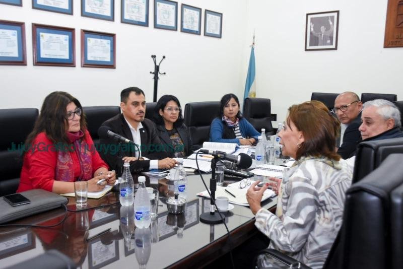 Convención Constituyente: Inició la Comisión de Educación, Cultura, Salud y Seguridad 9 Convencional Constituyente Inició la Comisión de Educación, Cultura, Salud y Seguridad 2