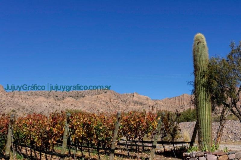 La Bodega Yacoraite inaugurará un wine bar en La Quebrada 3 La bodega Yacoraite inaugurará un wine bar en La Quebrada 3