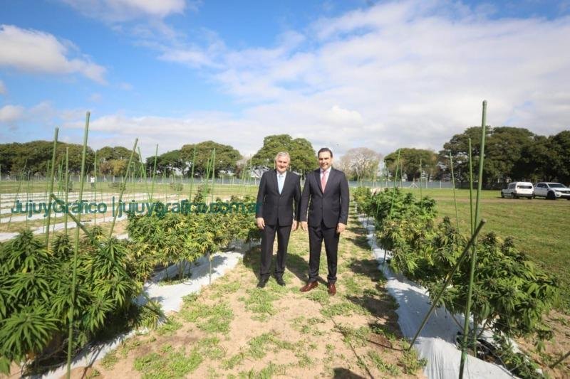 Morales visitó el Centro Tecnológico de Producción de Cannabis en Corrientes 1