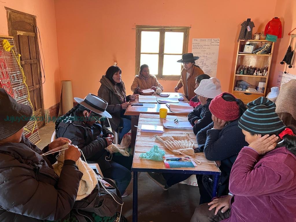 Proyecto Tejido: una realidad para los artesanos de la Puna, Valles y Quebrada 4 Proyecto “Tejido”, una realidad para los artesanos de la Puna, Valles y Quebrada 47